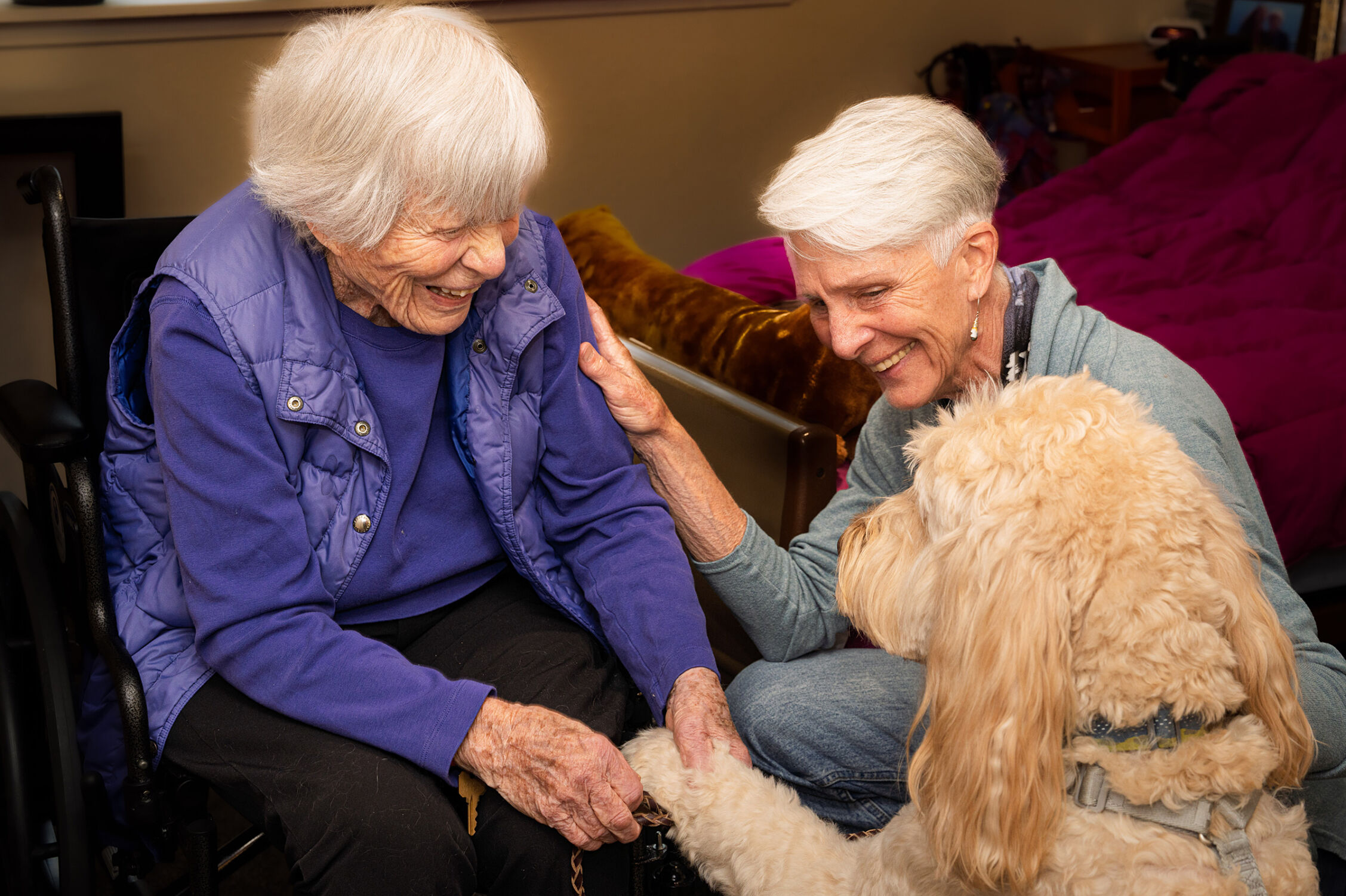 Two women smile and make friends with a labradoodle